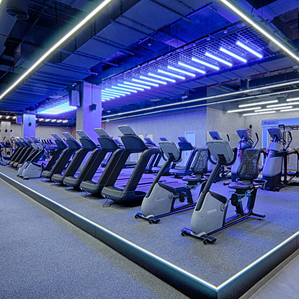 Fitness